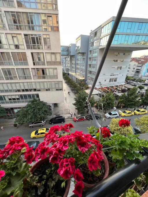 Mimosa'S Apartment With Lovely Balcony Tirana Buitenkant foto